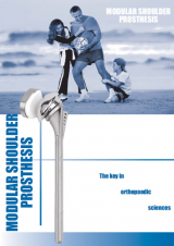 Parsiyel Omuz Protezi